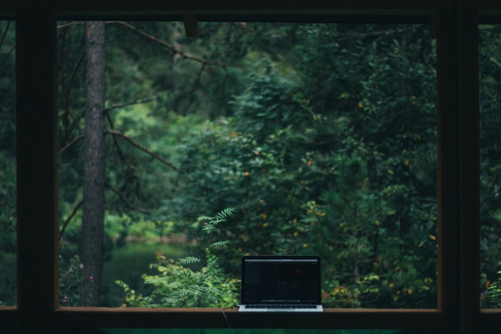 Computer in a forest