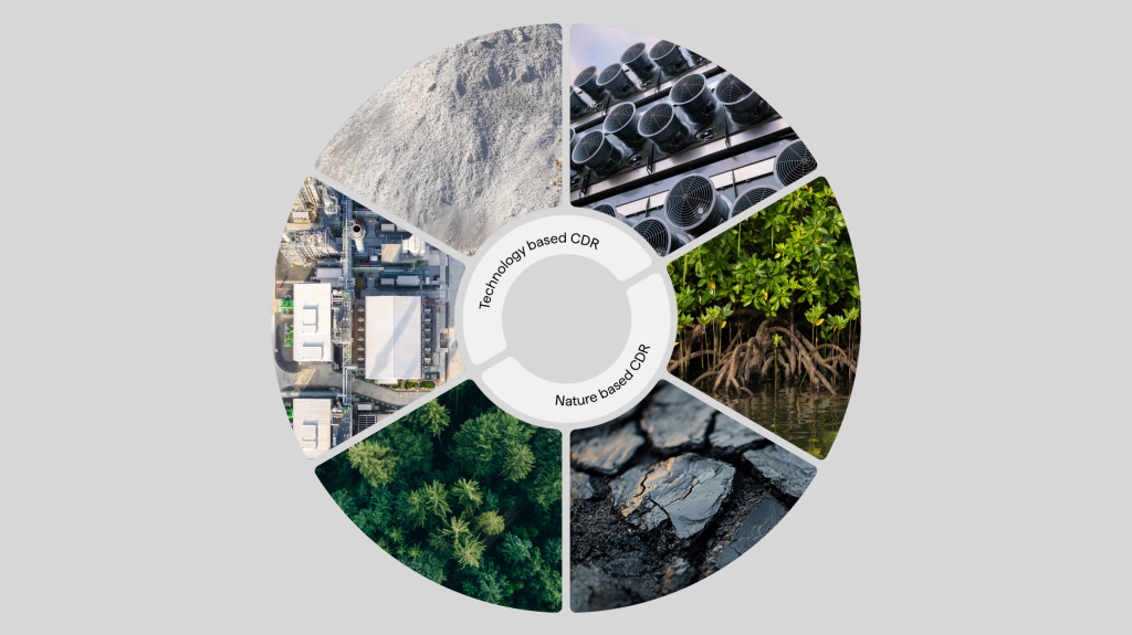 Tailored carbon removal portfolios