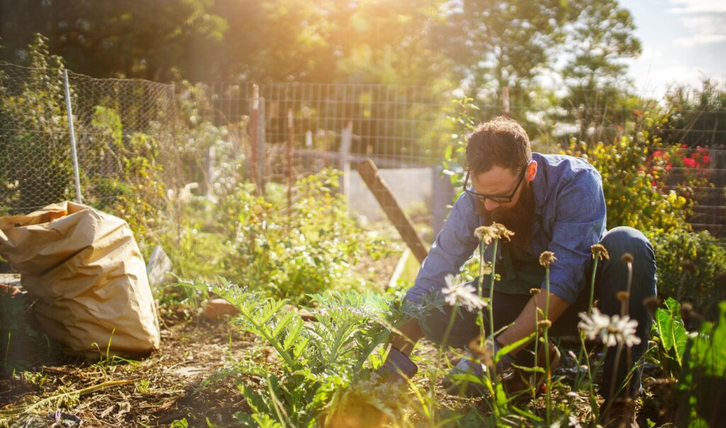 Man gardening