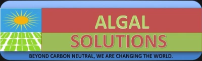 Algal solutions